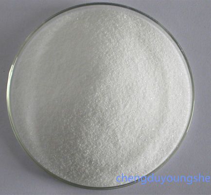 Good quality white color Insulin B (22-25),CAS 34367-73-2 Youngshe Chem